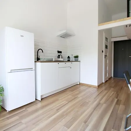 Sunny Studio In The Center Lodz (Lodz)